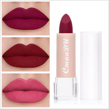 Load image into Gallery viewer, Sexy 15 Colors Velvet Matte Lipsticks Waterproof Long Lasting Sexy Red Lip Stick Non-Stick Cup Makeup Lip Tint Beauty Cosmetic