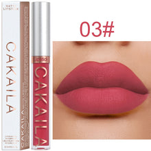 Load image into Gallery viewer, Sexy Long Lasting Velvet Matte Lip Gloss Liquid Lipstick Lip Makeup Women Beauty Red Nonstick Cup Waterproof Lip Gloss YZL2