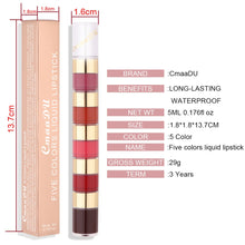 Load image into Gallery viewer, 5 In 1 Matte Lipstick Velvet Sexy Red Lip Tint Long Lasting Non-stick Cup Lip Gloss Set Lip Oil Female Makeup Cosmetic Kit