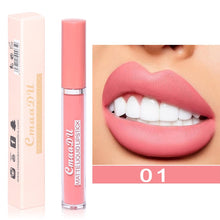 Load image into Gallery viewer, Sexy Long Lasting Velvet Matte Lip Gloss Liquid Lipstick Lip Makeup Women Beauty Red Nonstick Cup Waterproof Lip Gloss YZL2