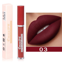 Load image into Gallery viewer, Sexy Long Lasting Velvet Matte Lip Gloss Liquid Lipstick Lip Makeup Women Beauty Red Nonstick Cup Waterproof Lip Gloss YZL2