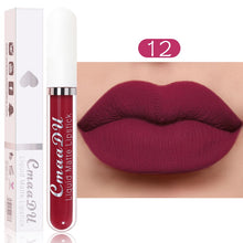 Load image into Gallery viewer, Sexy Long Lasting Velvet Matte Lip Gloss Liquid Lipstick Lip Makeup Women Beauty Red Nonstick Cup Waterproof Lip Gloss YZL2